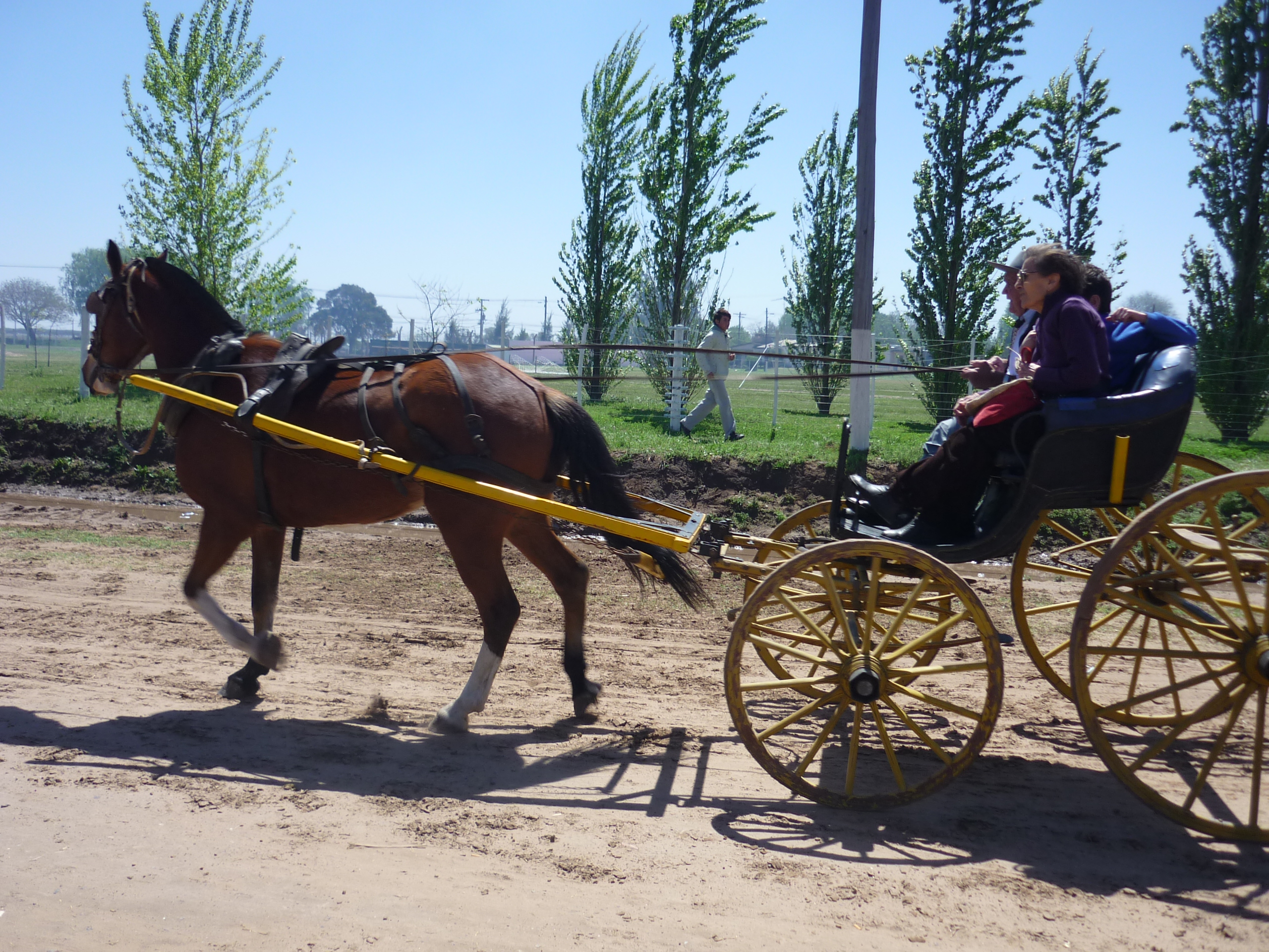 fotos/2009-10-11 - Fiesta del Cordero/P1000424.JPG